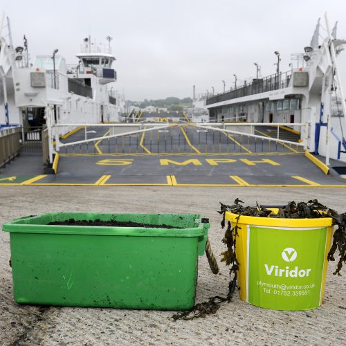 Torpoint Ferry – Turning the tide on enough seaweed to fill 5 double decker buses – 3rd June 2019